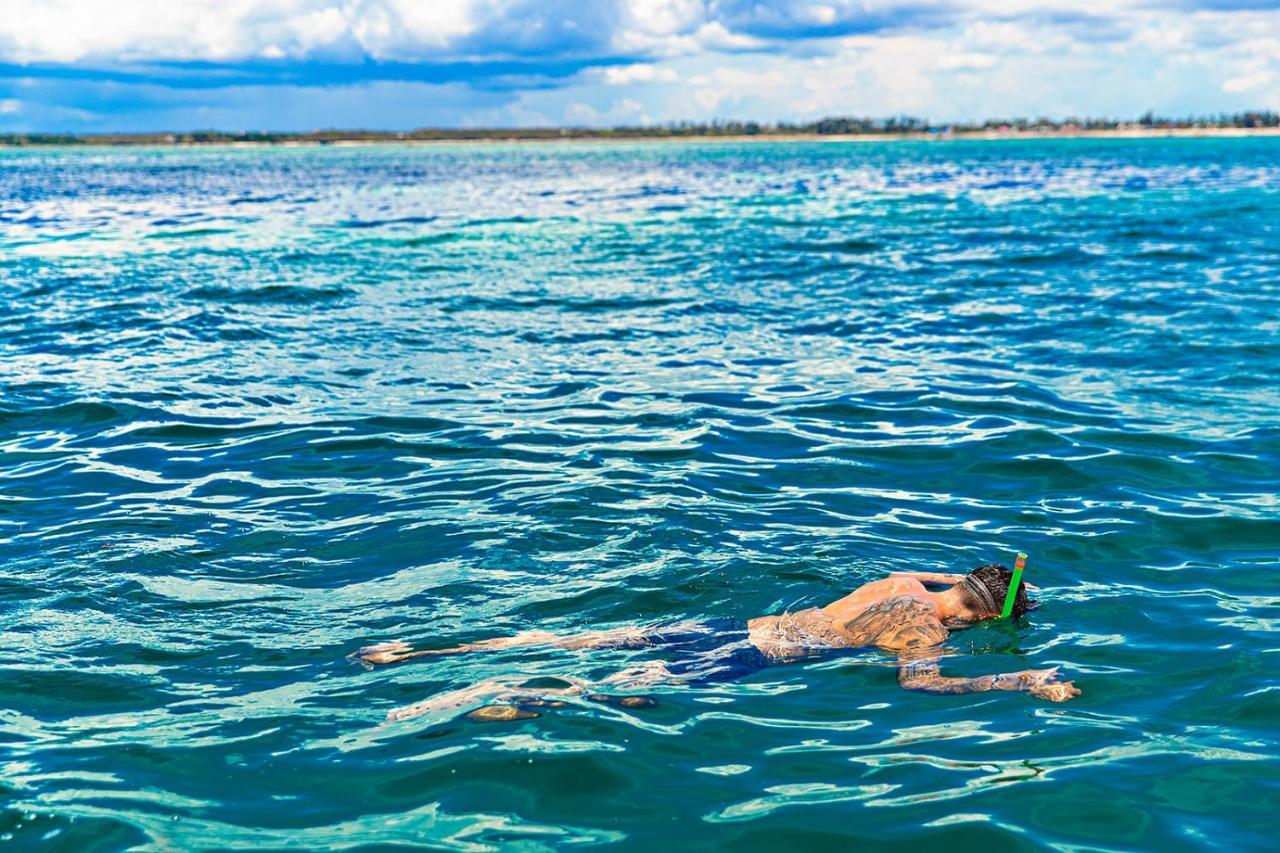 The Island - Pongwe Lodge (Adults Only) エクステリア 写真