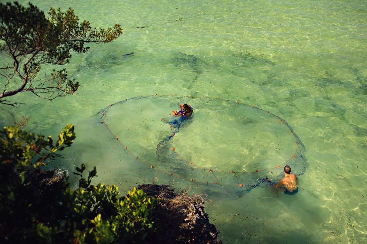 The Island - Pongwe Lodge (Adults Only) エクステリア 写真
