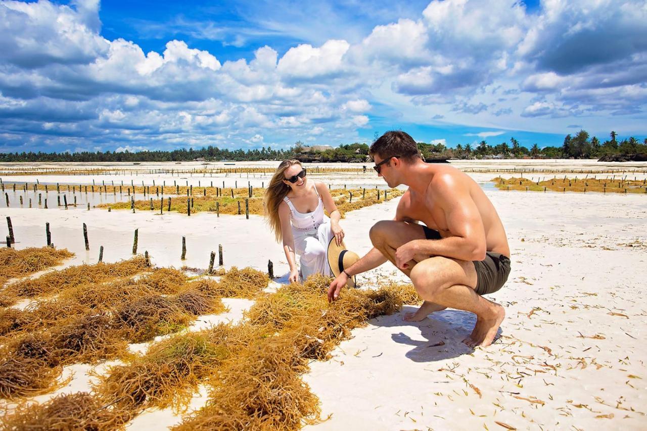 The Island - Pongwe Lodge (Adults Only) エクステリア 写真