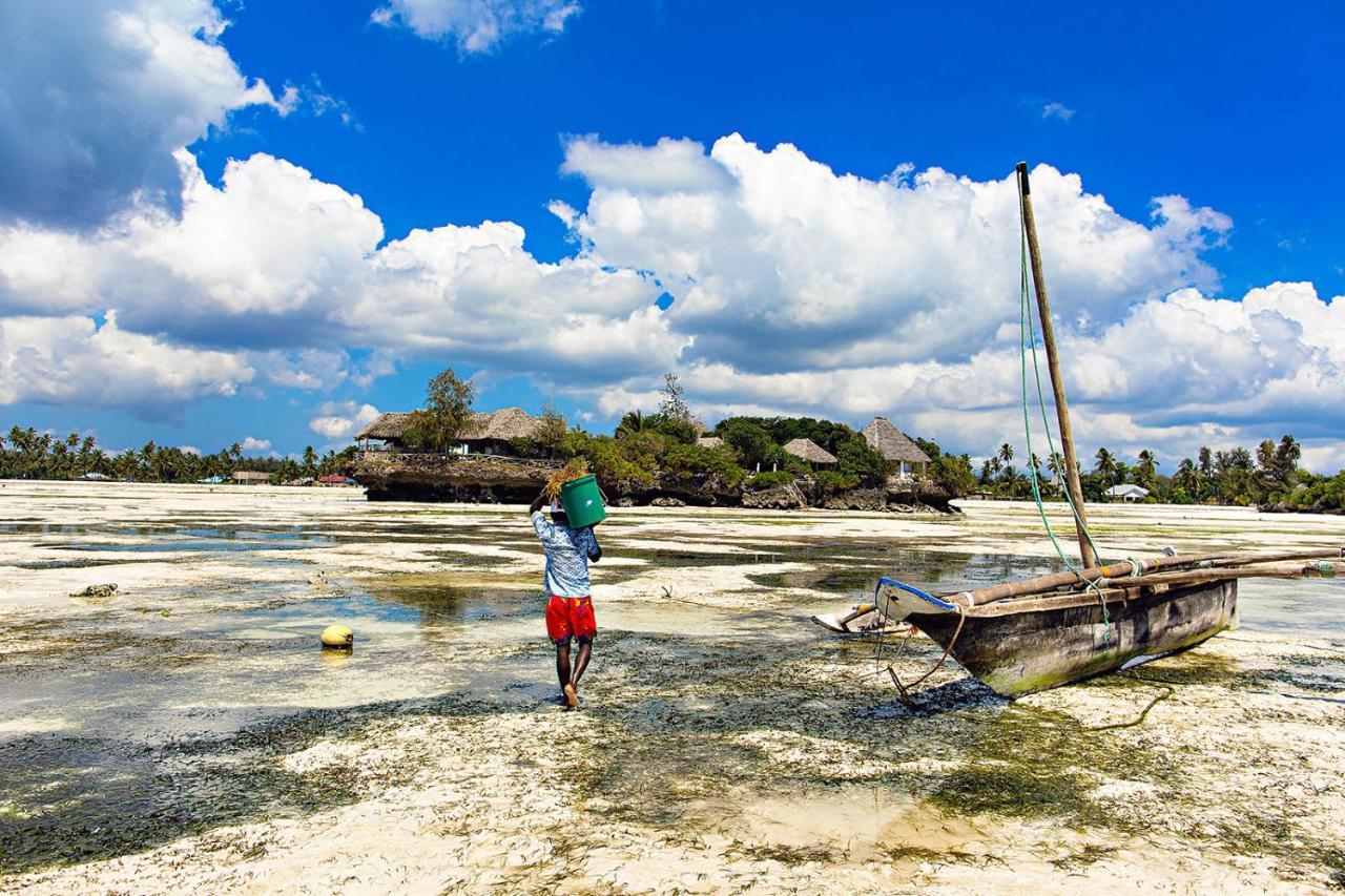 The Island - Pongwe Lodge (Adults Only) エクステリア 写真