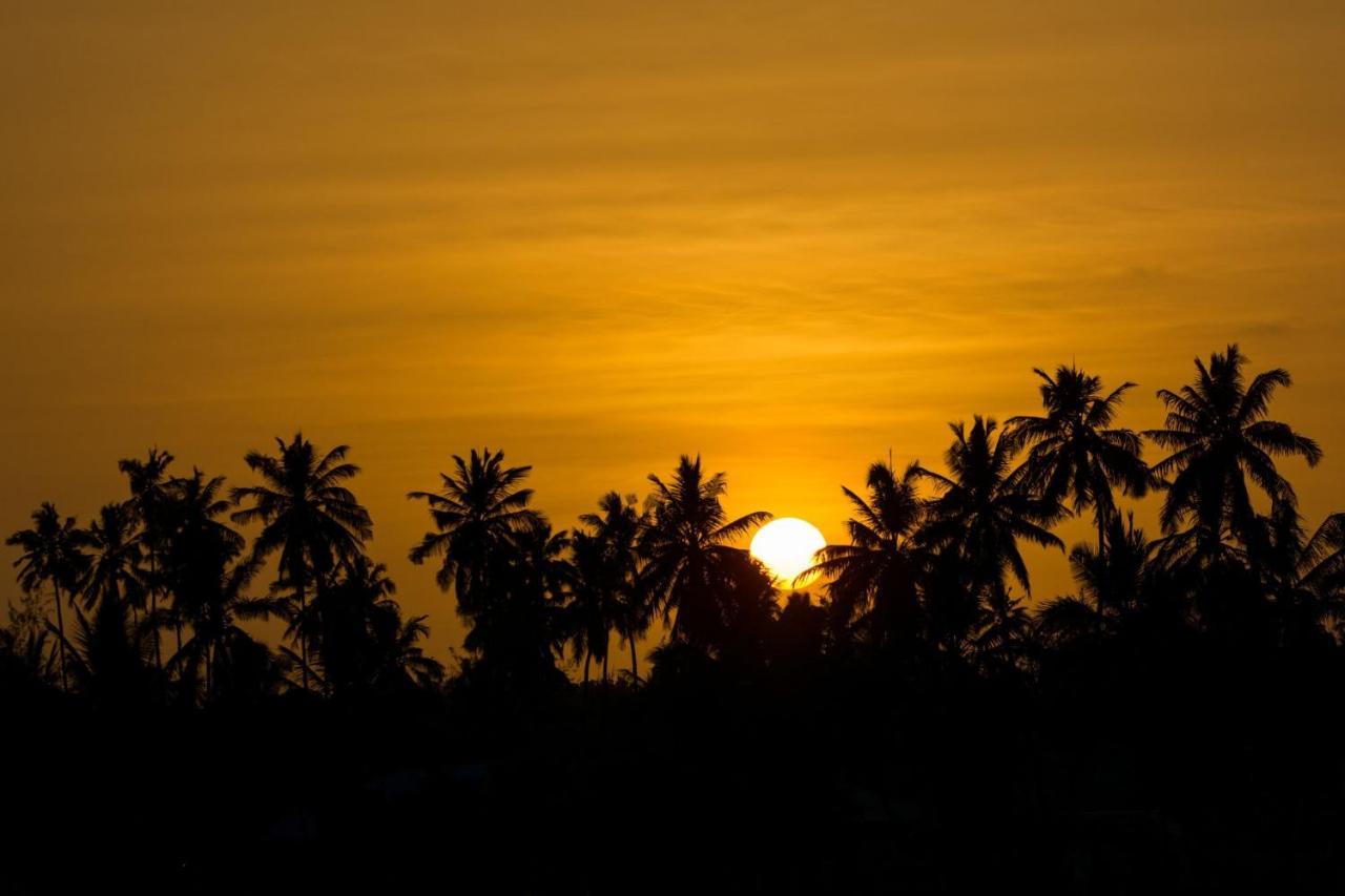The Island - Pongwe Lodge (Adults Only) エクステリア 写真